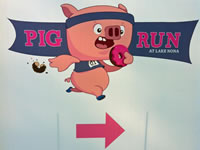 Pig Run, Lake Nona, Orlando, Saturday, March 20, 2013